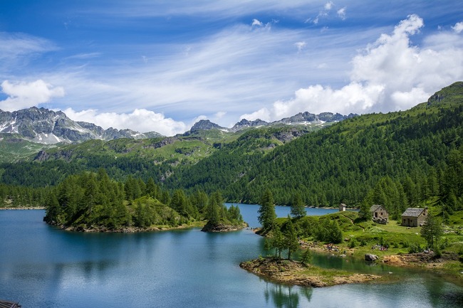 NATUR: Blumen, Seen und Berge